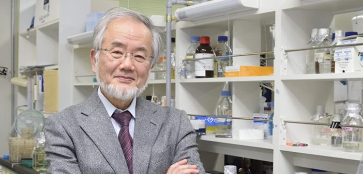 Nobel da Medicina atribuído ao japonês Yoshinori Ohsumi