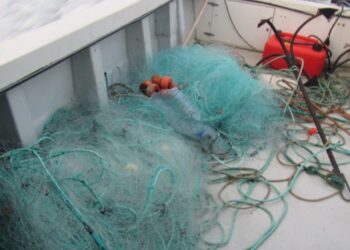 Polícia Marítima apreende redes de tresmalho na Nazaré