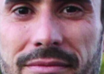 A Economia Startup