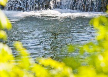 Leiria acolhe congresso internacional sobre ambiente e desenvolvimento