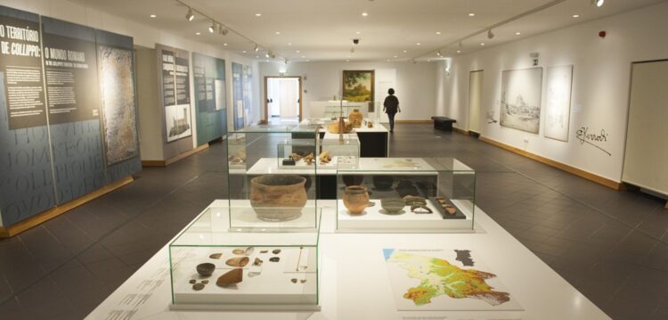 Museu de Leiria: quase metade dos visitantes são crianças e idosos