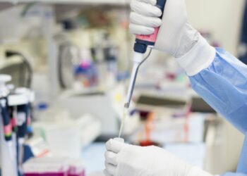 Um mergulho no mar à procura de respostas para o cancro
