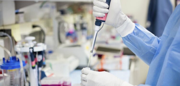 Um mergulho no mar à procura de respostas para o cancro