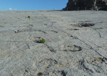 Viajar 170 milhões de anos ao encontro dos dinossauros é como dar um pulo a Fátima