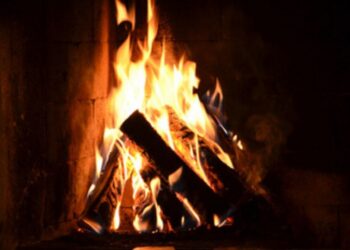 Batalha disponibiliza lenha para pessoas carenciadas superarem vaga de frio