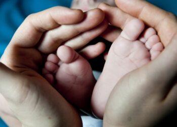 Há cinco anos que não nasciam tantos bebés no distrito