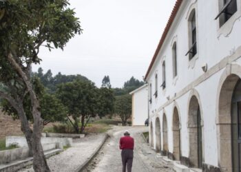 Hospital de Dia de Psiquiatria nasce em Leiria