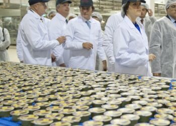 Oito milhões de euros para ampliar Docereina
