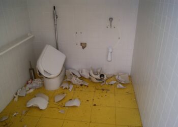 Parque verde do Juncal vandalizado