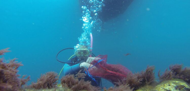 Algas invasoras: ameaça nos oceanos, oportunidade no prato