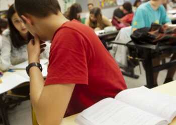 Currículos flexíveis nos ciclos iniciais de ensino já no próximo ano