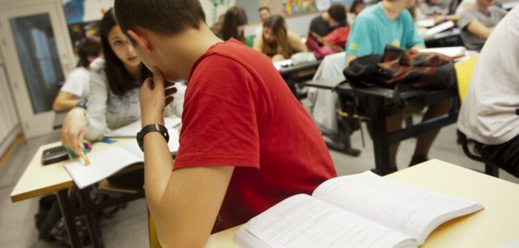 Currículos flexíveis nos ciclos iniciais de ensino já no próximo ano