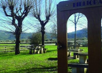 Em Alvados e Alcaria pare, descanse… e leia