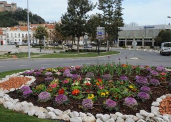 “Leiria Florida” embeleza habitações do centro histórico Leiria