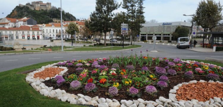 “Leiria Florida” embeleza habitações do centro histórico Leiria