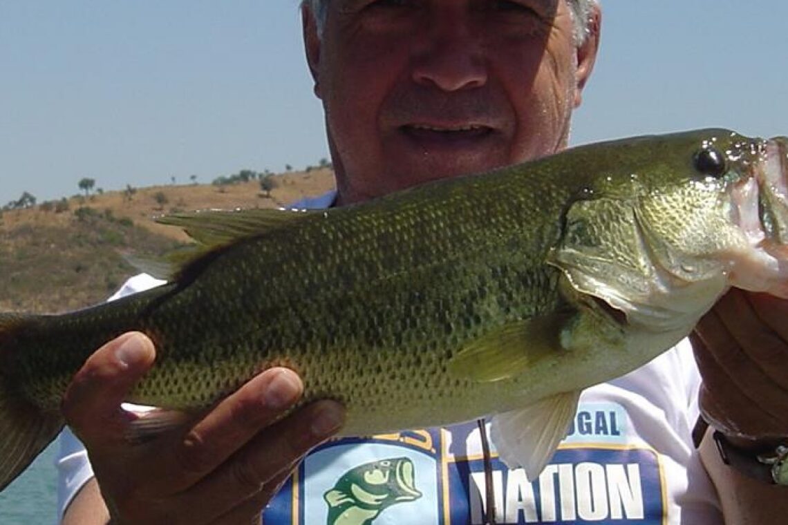 O ACHIGÃ UM PEIXE NATURALIZADO