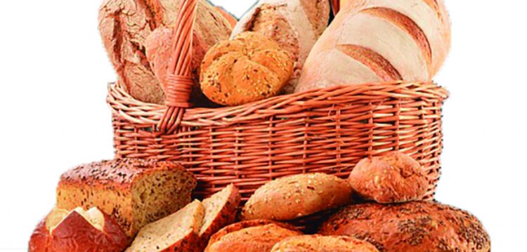 Trigo d’Aldeia investe 2,8 milhões em nova fábrica no Bombarral