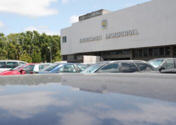 Câmara de Leiria quer colocar startups no mercado municipal