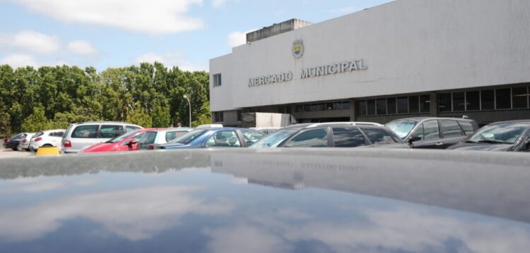 Câmara de Leiria quer colocar startups no mercado municipal