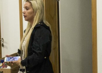PJ de Leiria detém casal suspeito de desviar dinheiro do infantário Superninho