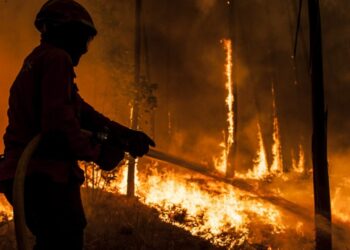 Dispositivo contra incêndios terá 501 operacionais no período crítico