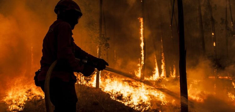 Dispositivo contra incêndios terá 501 operacionais no período crítico