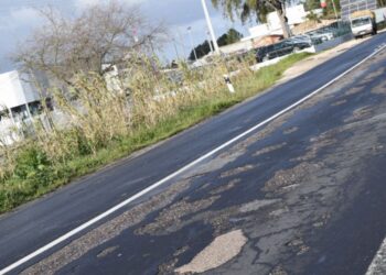 EN113 entra em obras segunda-feira para receber o Papa Francisco