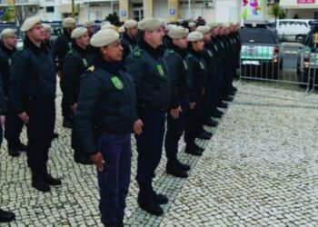 GNR detecta mais de três mil infracções de falta de limpeza