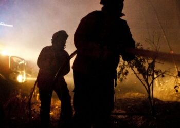 Incêndio destrói aviário em Leiria
