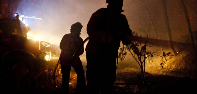 Incêndio destrói aviário em Leiria
