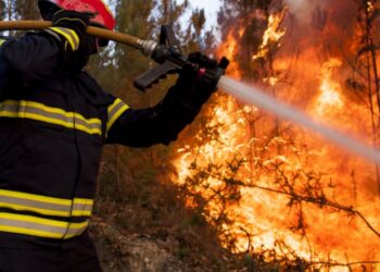 Incêndio em Figueiró dos Vinhos mobiliza quase 100 elementos e um meio aéreo