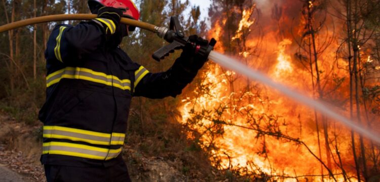 Incêndio em Figueiró dos Vinhos mobiliza quase 100 elementos e um meio aéreo
