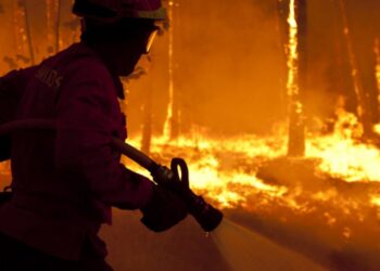 Mais de cem homens combatem incêndio em Ansião