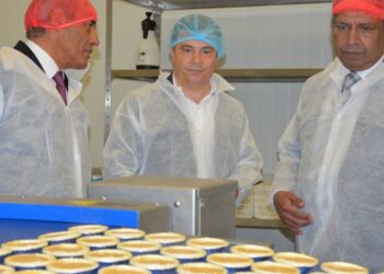 Panicongelados, a empresa de Leiria que vende pão para o Chile