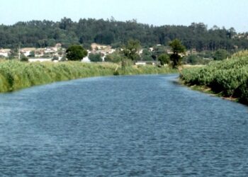 Análises à água da bacia do Lis mostram aumento da contaminação