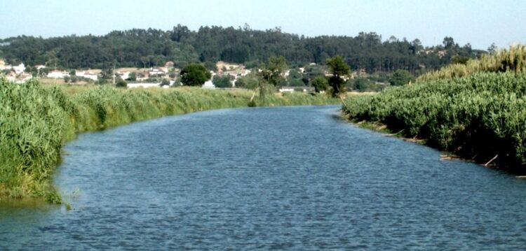 Análises à água da bacia do Lis mostram aumento da contaminação