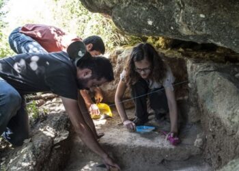 Arqueólogos estão de regresso à Bacia do Lis