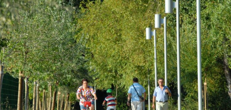 Aumento do consumo de medicamentos com vitamina D preocupa especialistas