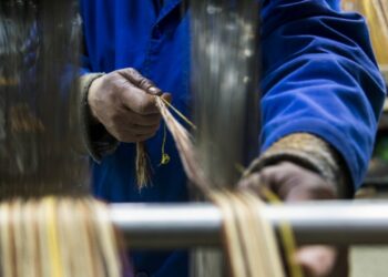 Gazelas, as pequenas empresas que crescem 20% ao ano