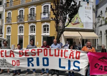 Ministro do Ambiente ameaça suinicultores