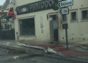 “Tornado” derrubou telhados e partiu árvores em Carnide