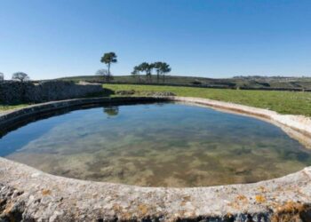 Turismo rural: Alcobaça e Porto de Mós entre os melhores destinos
