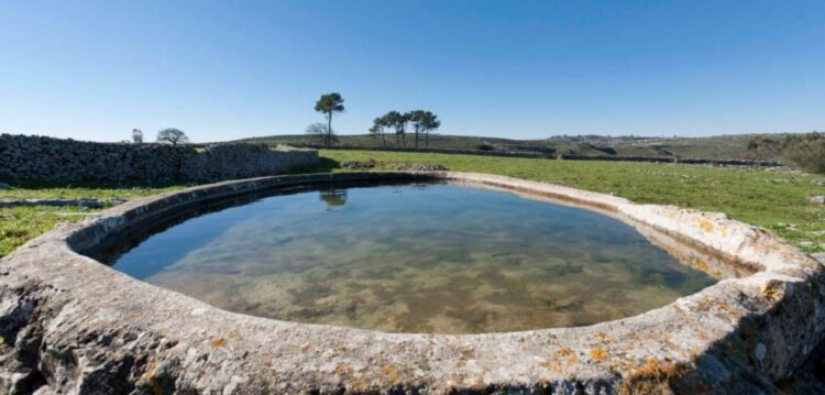 Turismo rural: Alcobaça e Porto de Mós entre os melhores destinos