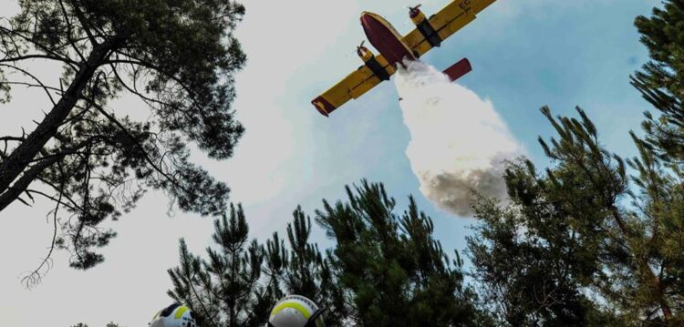 Avião Canadair despenha-se em Pedrógão Grande (actualizada)