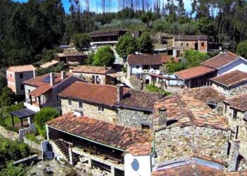 Casal de São Simão (Aguda) deixa políticos a falar e segue exemplo de Ferraria de São João arrancando eucaliptos