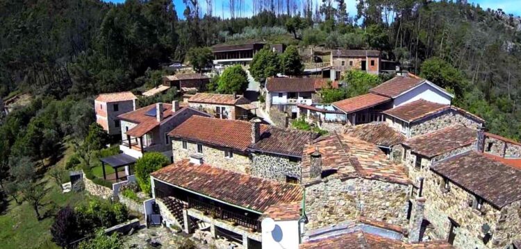 Casal de São Simão (Aguda) deixa políticos a falar e segue exemplo de Ferraria de São João arrancando eucaliptos