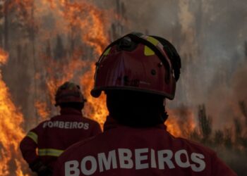 CGD criou conta solidária – Unidos por Pedrógão