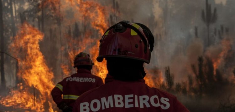 CGD criou conta solidária – Unidos por Pedrógão