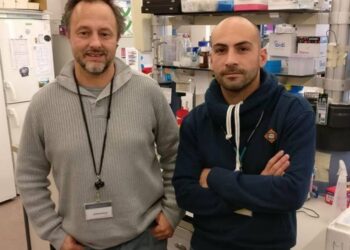 Cientista de Leiria desenvolve vacina contra a malária