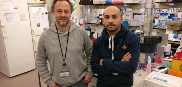 Cientista de Leiria desenvolve vacina contra a malária